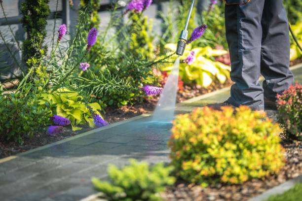 Best Soft Washing for Delicate Surfaces in Country Clu, CA